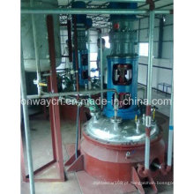 Fj High Efficent Factory Preço Pharmaceutical Hydrothermal Síntese Agitated Hydrogenation Quartz Reactor
